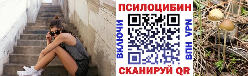 ссылка на мегу ТОР  Нижний Ломов  Галлюциногенные грибы ЛСД 